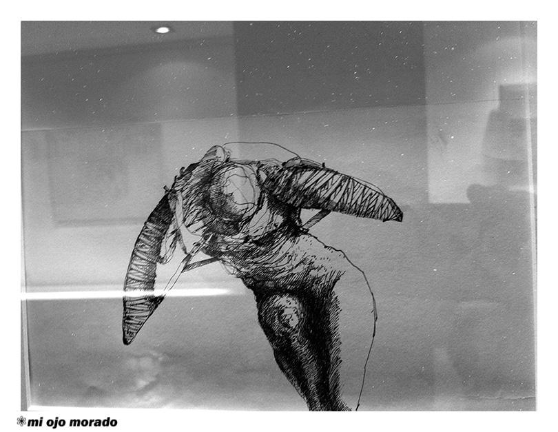 El vuelo del insecto de Cardesin El vuelo del insecto de Cardesin