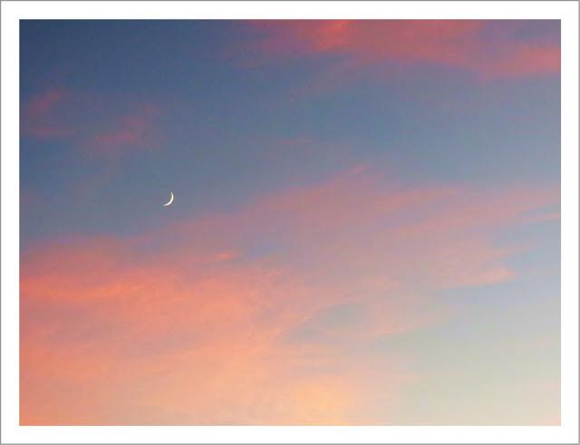 Intentar o no intentar... Intentar o no intentar...