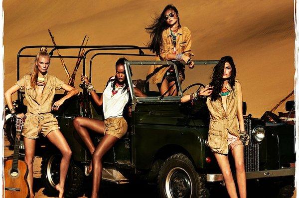 Safari Chic Safari Chic