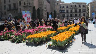 Jardín por un día: Destellos de Holanda escenarq_catedral_2