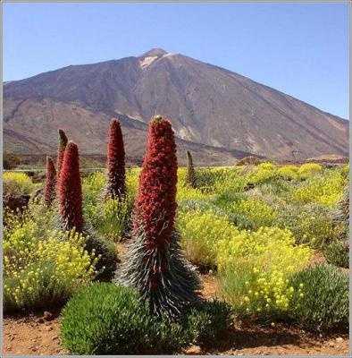 Vamos a disfrutar del Teide 28 de abril de 2013