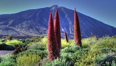 Vamos a disfrutar del Teide 28 de abril de 2013