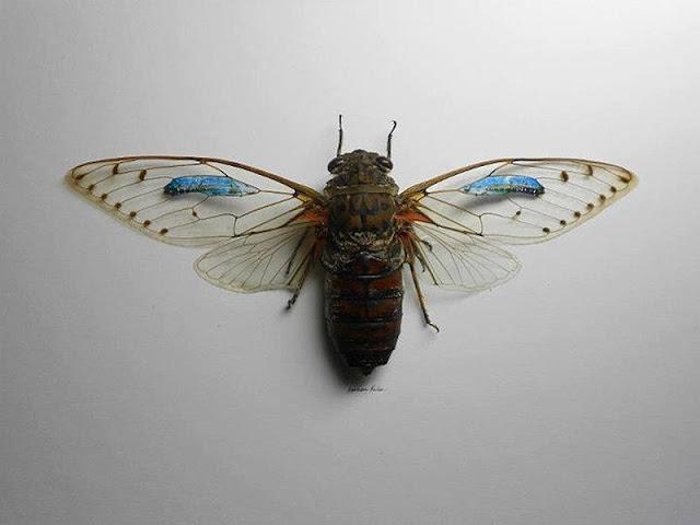 micro obras de arte sobre mariposas