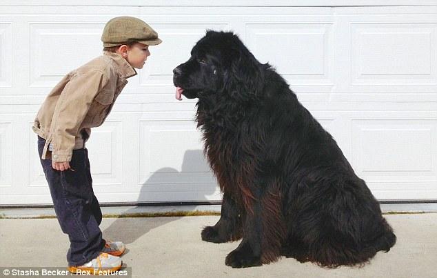 una graciosa foto de un niño y su perro