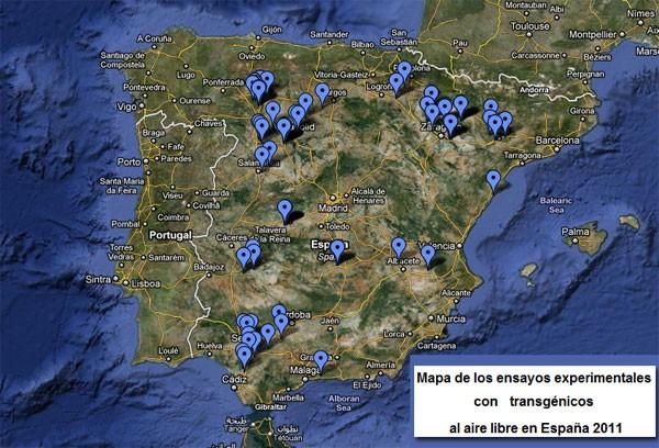 España, paraíso transgénico en Europa