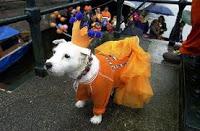 El día de la reina o día del rey, la mayor fiesta de toda Holanda