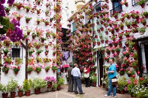 vecinos-regando-las-macetas-en-un-patio-de-córdoba