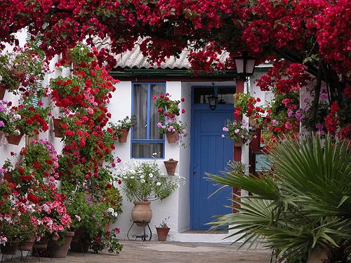 Puerta-azul-de-fondo-en-un-patio