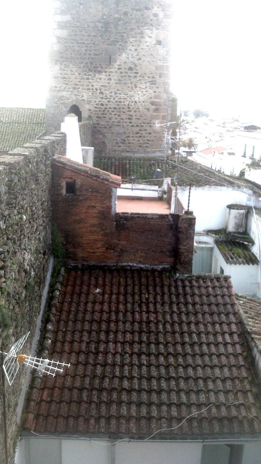 JUGANDO A SER IDIOTAS JUGANDO A SER IDIOTAS