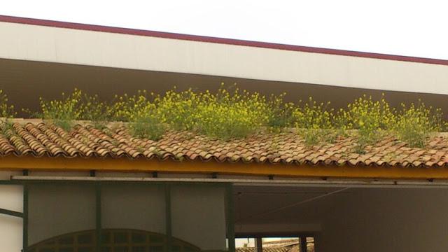 TERCERA EDICIÓN DE LA FERIA DEL STOCK Y RUTA DE LA TAPA