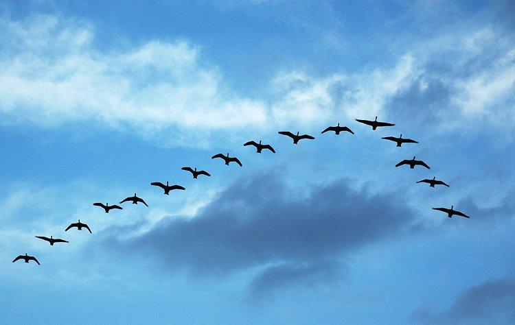 Ponernos en su piel Ponernos en su piel