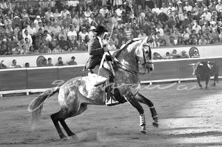 Las abejas de mi infancia... o la 1ra. de la Feria de Puebla 2013