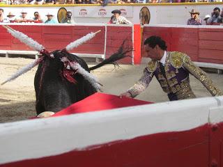 Las abejas de mi infancia... o la 1ra. de la Feria de Puebla 2013