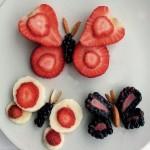 mariposa de frutos rojos