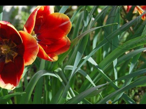 Una primavera llena de Color y Sombreros Primavera en Sombrerería Albiñana