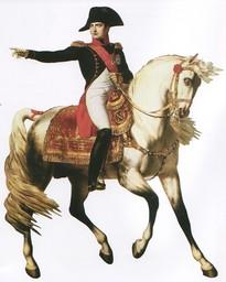 Napoleón, genio y manipulador 