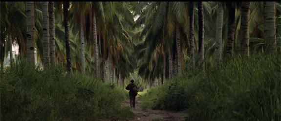 Los fantasmas que acechan a Terrence Malick