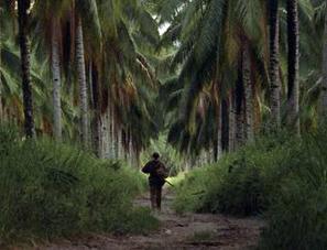 Los fantasmas que acechan a Terrence Malick