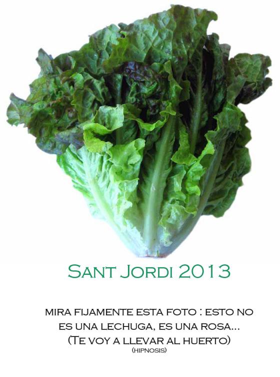 A pocos días de Sant Jordi /Día del Libro. lechugahipnosis