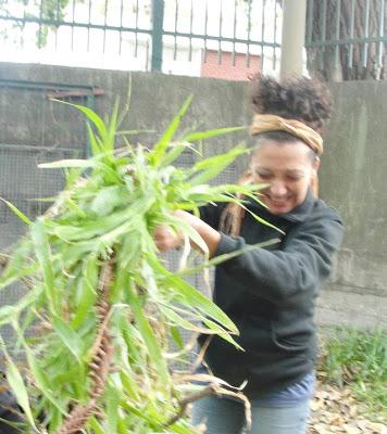 Proyecto: Recuperación, Intervención y Puesta en Valor de Espacios en la Escuela Proyecto: Recuperación, Intervención y Puesta en Valor de Espacios en la Escuela
