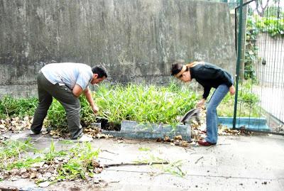 Proyecto: Recuperación, Intervención y Puesta en Valor de Espacios en la Escuela Proyecto: Recuperación, Intervención y Puesta en Valor de Espacios en la Escuela