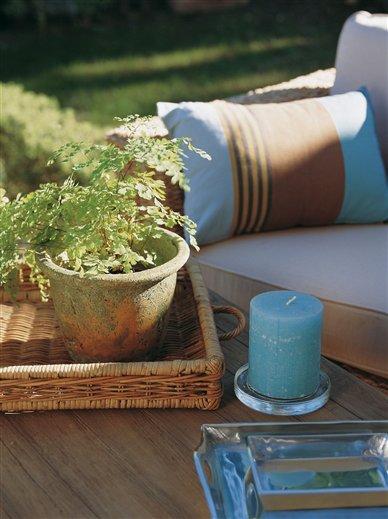 Fundida con el jardín / Fused with the garden Fundida con el jardín / Fused with the garden