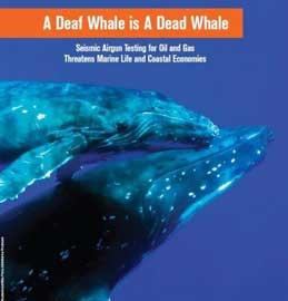 informe armas sísmicas de Oceana informe armas sísmicas de Oceana