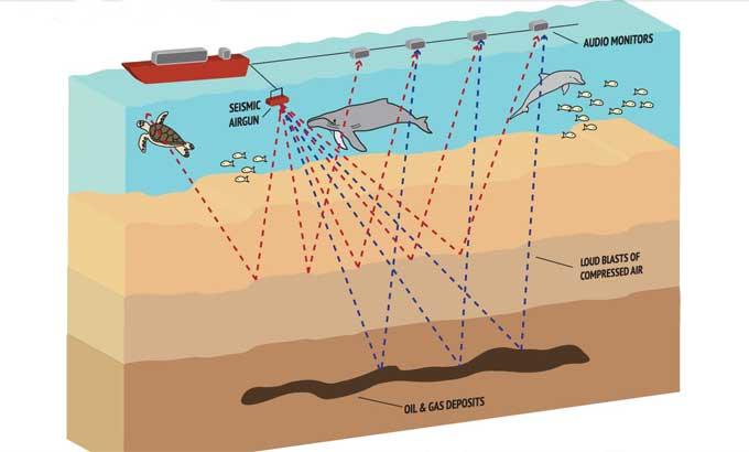 efectos de las armas sísmicas de aire comprimido efectos de las armas sísmicas de aire comprimido