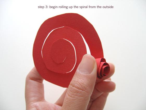 Sant Jordi (Low Cost) roses3