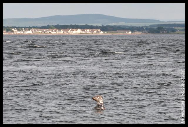 Chanorny Point (Escocia)