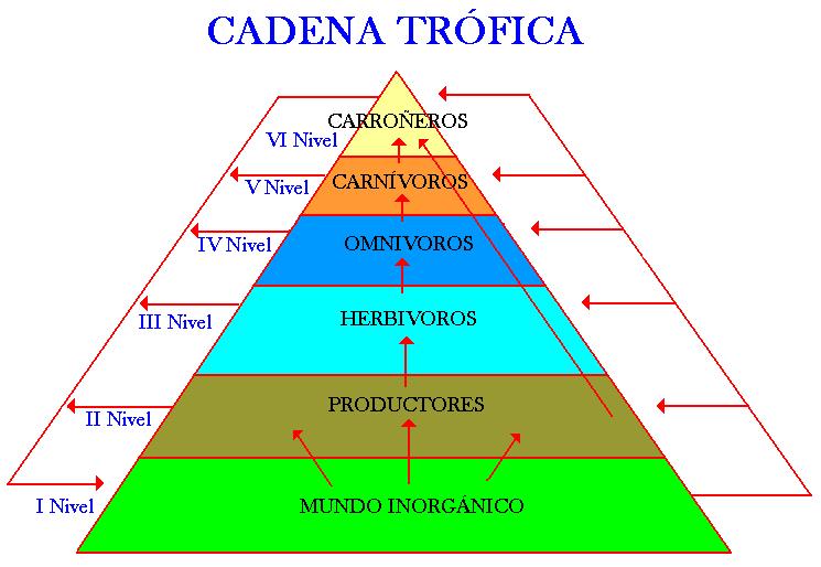 componente ecosistemico icfes