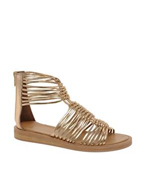 TREND:GLADIATORS TREND:GLADIATORS