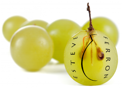 VINOSCOPIO EN LA 1ªMOSTRA DE VINS DE TERRASSA VINOSCOPIO EN LA 1ªMOSTRA DE VINS DE TERRASSA