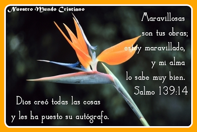 Una obra maravillosa Una obra maravillosa