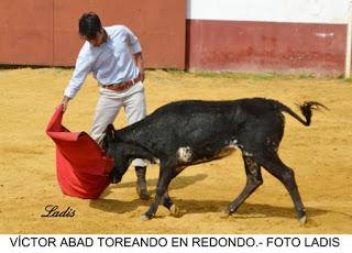 CÓRDOBA: LA CORRIDA DEL DÍA 19 ECHA A ANDAR CÓRDOBA: LA CORRIDA DEL DÍA 19 ECHA A ANDAR