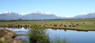 Chubut paraíso del encuentro en la Patagonia Argentina