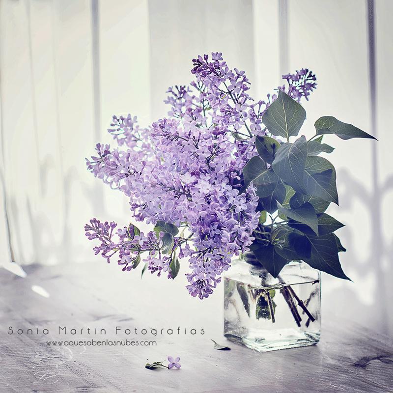 El olor de las lilas 20042013-Lilas con marca de agua