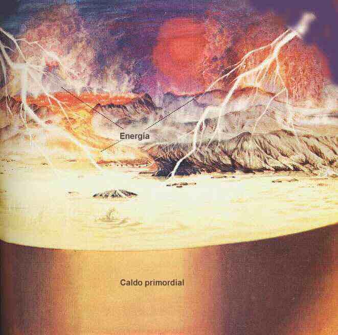 Día Mundial de la Tierra, conozcamos un poco más sobre la tierra (22-04-2013) Día Mundial de la Tierra, conozcamos un poco más sobre la tierra (22-04-2013)