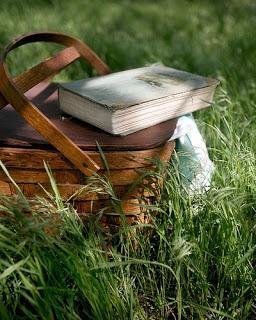 Libros buscan padres adoptivos Libros buscan padres adoptivos