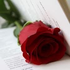 Sant Jordi, un día de libros Sant Jordi, un día de libros