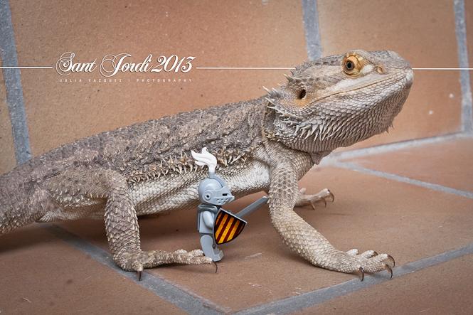 Feliç Sant Jordi 2013 JV130422_9624-Editar_665px