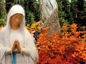 Feliz de tí María reparational-7