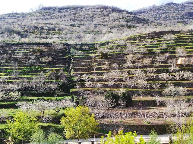 Primavera en el Valle del Jerte