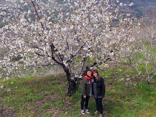 Primavera en el Valle del Jerte