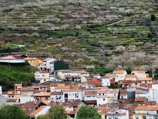 Primavera en el Valle del Jerte