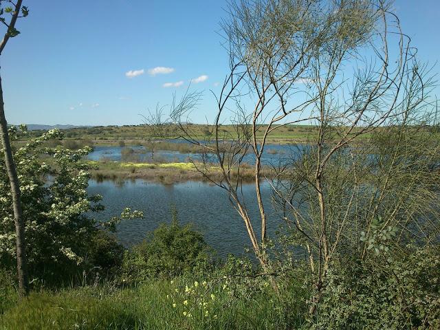 Pasando una tarde en el Embalse del Vicario en Ciudad Real Pasando una tarde en el Embalse del Vicario en Ciudad Real