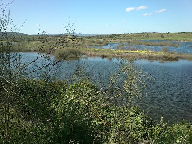 Pasando una tarde en el Embalse del Vicario en Ciudad Real Pasando una tarde en el Embalse del Vicario en Ciudad Real
