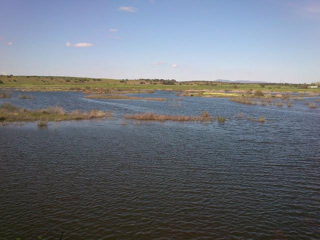 Pasando una tarde en el Embalse del Vicario en Ciudad Real Pasando una tarde en el Embalse del Vicario en Ciudad Real