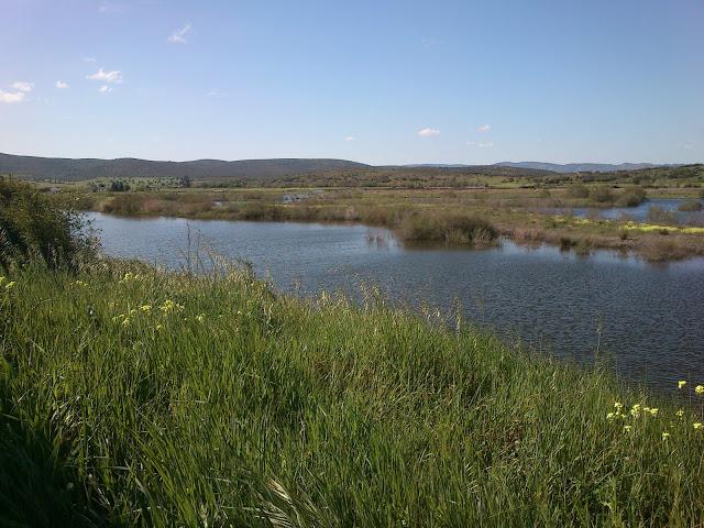 Pasando una tarde en el Embalse del Vicario en Ciudad Real Pasando una tarde en el Embalse del Vicario en Ciudad Real