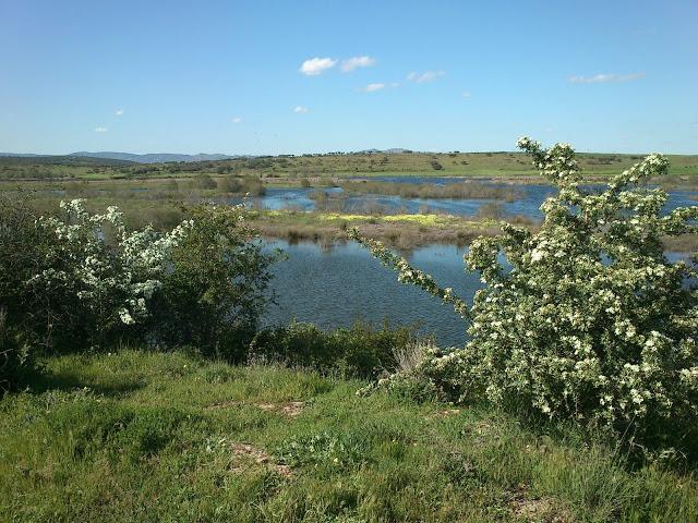 Pasando una tarde en el Embalse del Vicario en Ciudad Real Pasando una tarde en el Embalse del Vicario en Ciudad Real